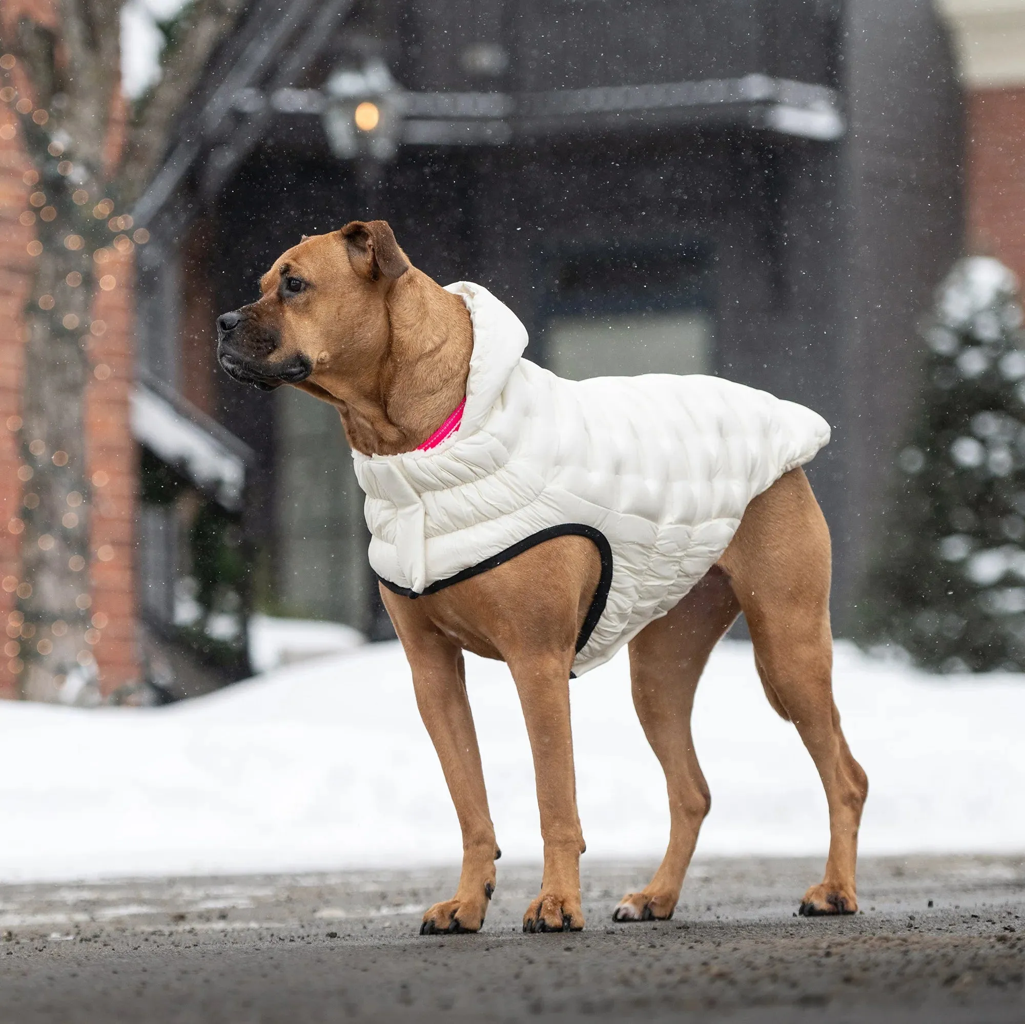 Cloud Parka