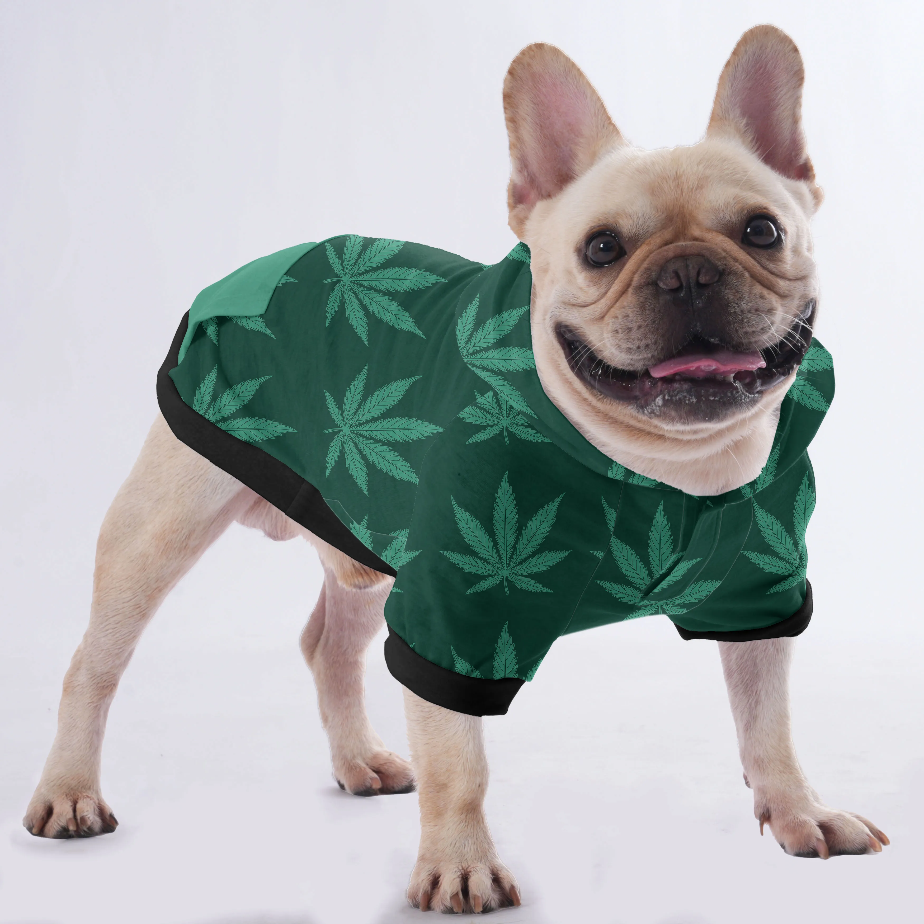 Toby - Hoodies for French Bulldog  | Frenchie Shop Original